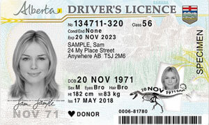 AB driver's licence
