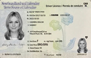 NL driver's licence