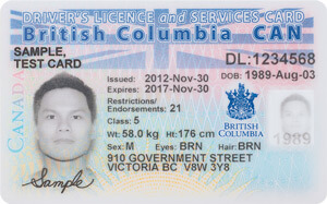 BC commercial driver's license