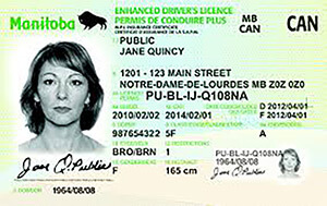 MB commercial driver's license