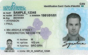 NB commercial driver's license