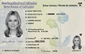 NL commercial driver's license