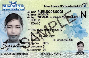 NS commercial driver's license