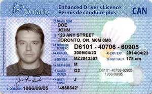 ON commercial driver's license