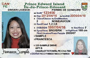 PE commercial driver's license