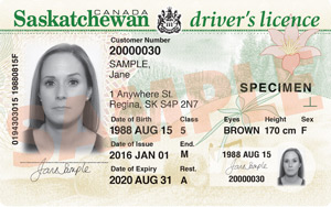 SK commercial driver's license